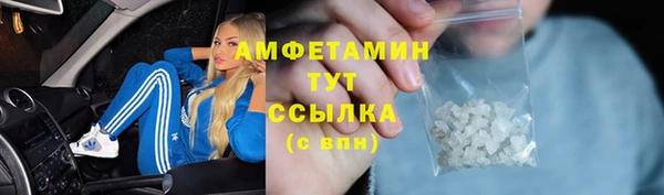 индика Беломорск