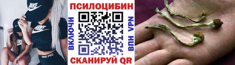 Псилоцибиновые грибы MAGIC MUSHROOMS Славск